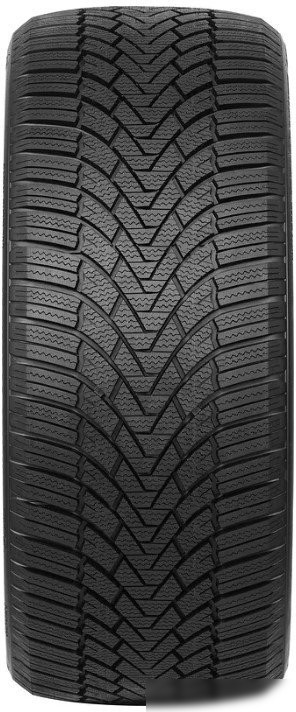 Зимние шины Arivo Winmaster ProX ARW3 195/55R16 91H