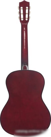 Акустическая гитара Terris TC-3801A NA