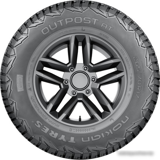 Автомобильные шины Nokian Outpost AT 245/75R17 121/118S