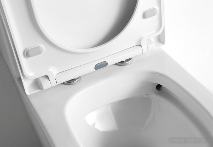 Унитаз CeramaLux B2330