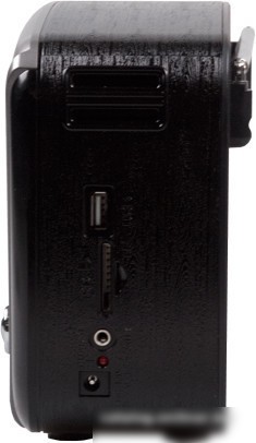 Радиоприемник Ritmix RPR-065