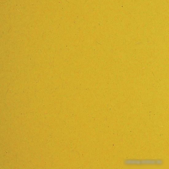 Набор папок BRAUBERG 231794 (10 шт)