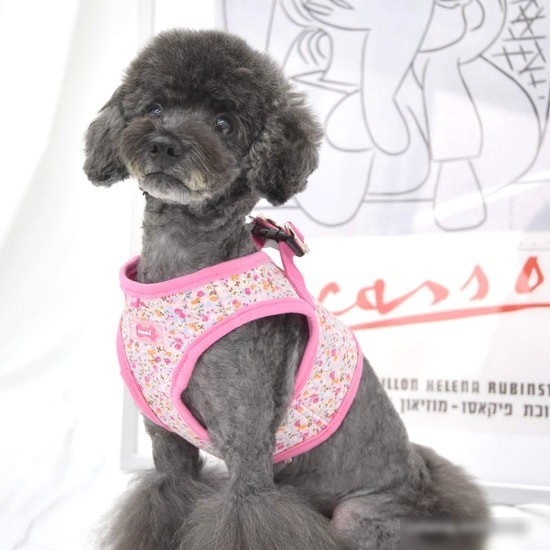 Шлейка-жилетка Puppia Wildflower PAUA-HB1826-PK-XL (розовый)