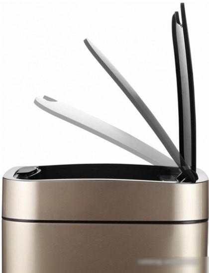 Мусорное ведро WeltWasser Rone CG 12L