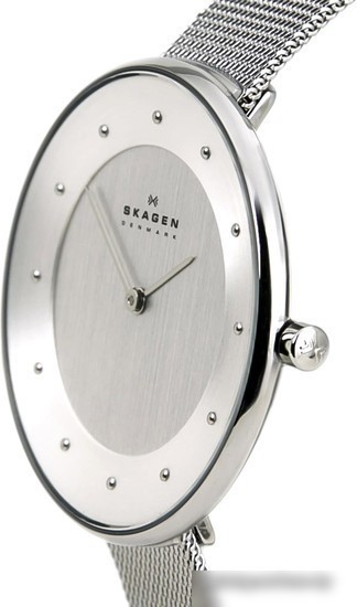 Наручные часы Skagen SKW2140