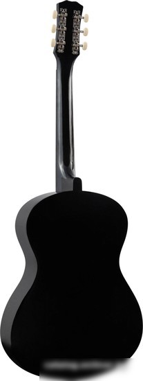 Акустическая гитара Terris TF-3805A BK