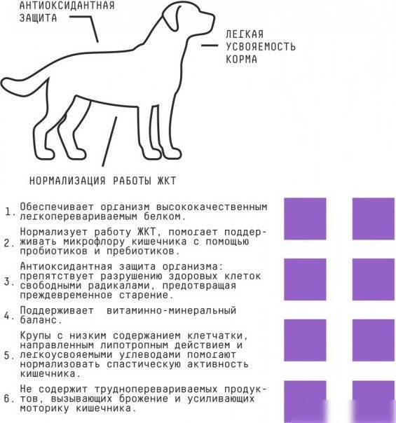 Сухой корм для собак AJO Dog Sense с гречкой для собак с чувствительным пищеварением 2 кг