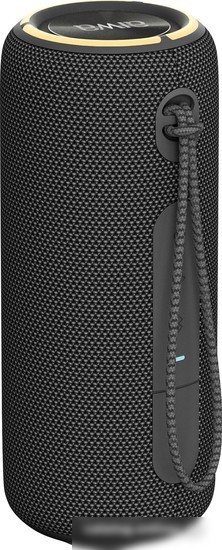 Беспроводная колонка Aiwa PAS-H300 (черный)