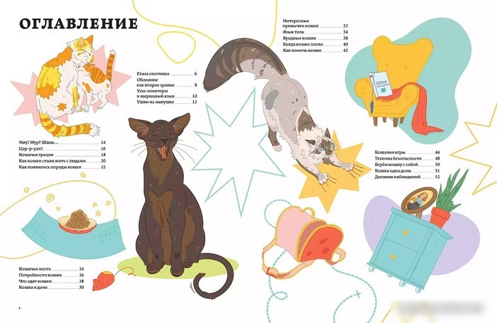 Энциклопедия издательства Альпина Паблишер. Секреты кошек. Как понять свою кошку и подружиться с ней (Рауш С.)
