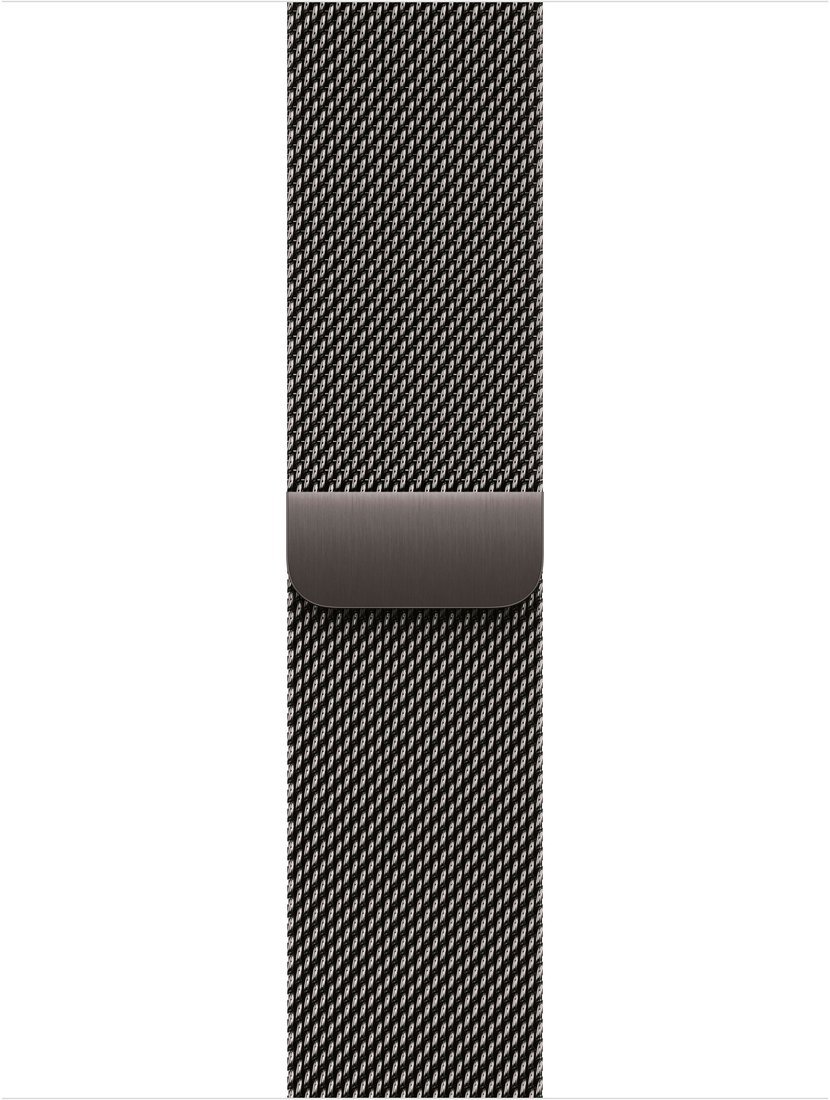 Умные часы Apple Watch Series 11 LTE 46 мм (титановый корпус, сланец/сланец, миланская петля M/L)