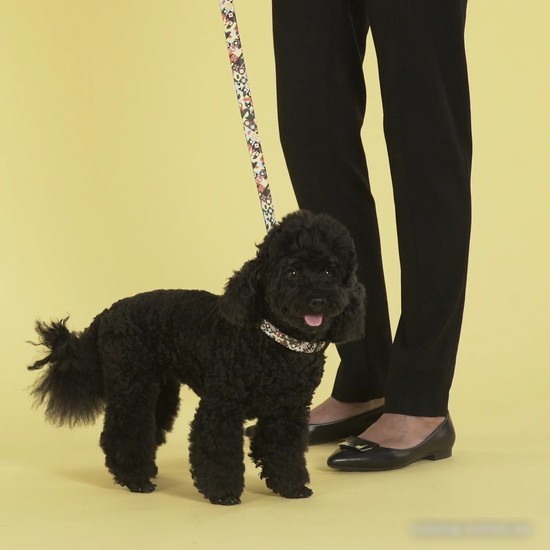 Поводок United Pets Complete Me Leash (L, разноцветный рисунок)