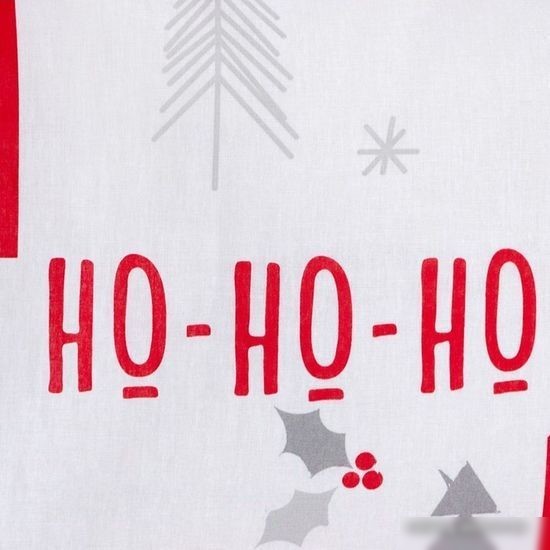 Постельное белье Этель Christmas Day 7655007