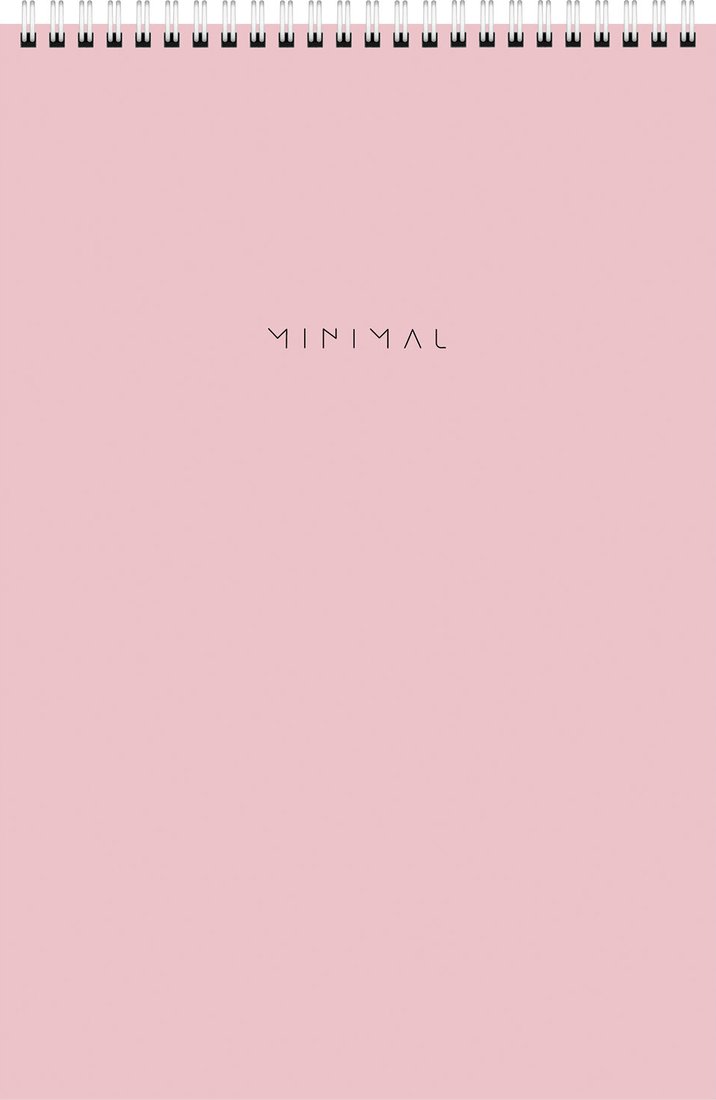 Блокнот BRAUBERG Minimal Pastel 116453 (2шт, 80л)