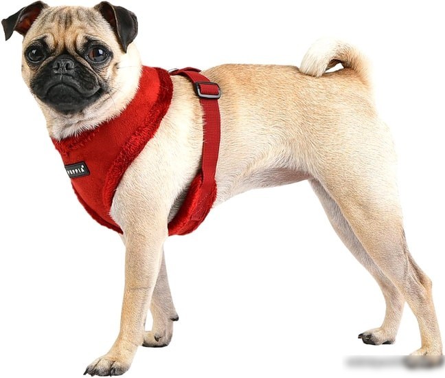 Шлейка Puppia Terry PASD-HA1661-WN-XL (красный)