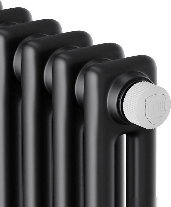 Стальной панельный радиатор Royal Thermo Insignia VC2180 - 12 секций RAL9005m