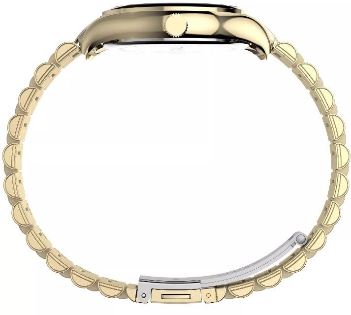 Наручные часы Timex TW2W40300
