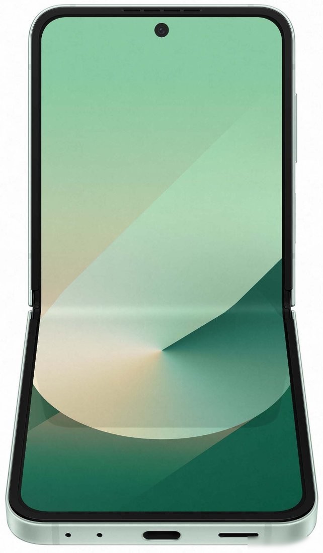 Телефон Samsung Galaxy Z Flip6 SM-F741B 12GB/512GB (мятный)