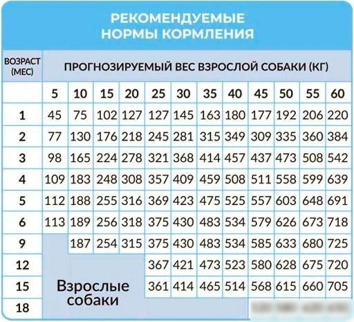 Сухой корм для собак Best Dinner Puppy Sensible Lamb & Berry (12 кг)