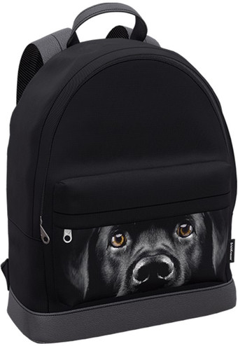 Городской рюкзак Erich Krause StreetLine Black Dog 60349