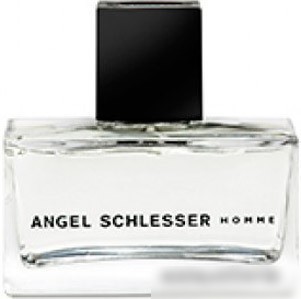 Angel Schlesser Homme edT (125 мл)