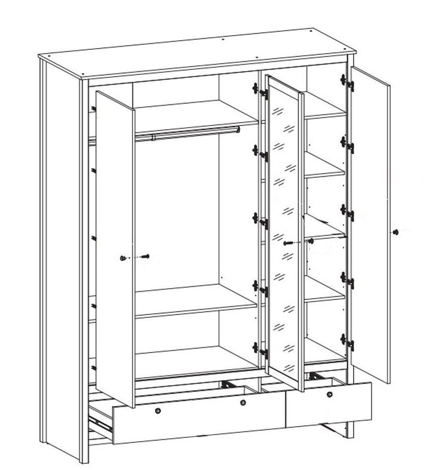 Шкаф распашной BRW Loft SZF3D2S (дуб вотан/черный)