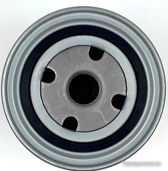 BIG Filter Spin-on GB-1091