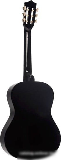 Акустическая гитара Terris TC-3801A BK