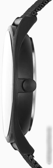 Наручные часы Skagen SKW6450