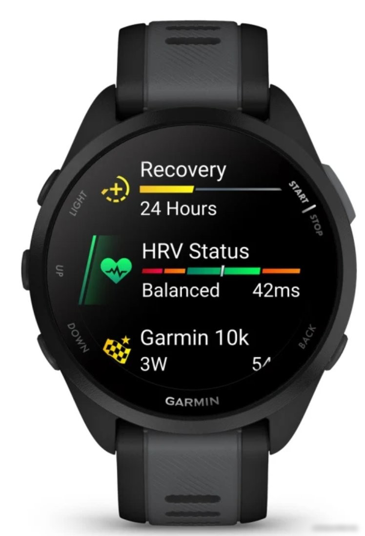 Умные часы Garmin Forerunner 165 (черный/сланцево-серый)