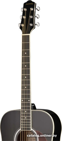 Акустическая гитара Naranda DG220BK