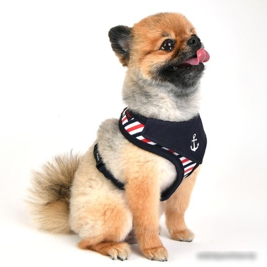 Шлейка Puppia Seaman PAUA-HA1832-NY-M (синий)