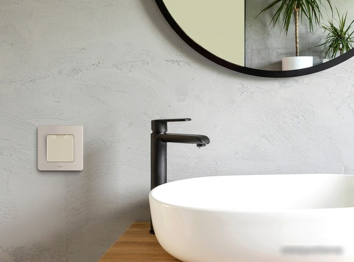 Розетка Legrand Inspiria 673741