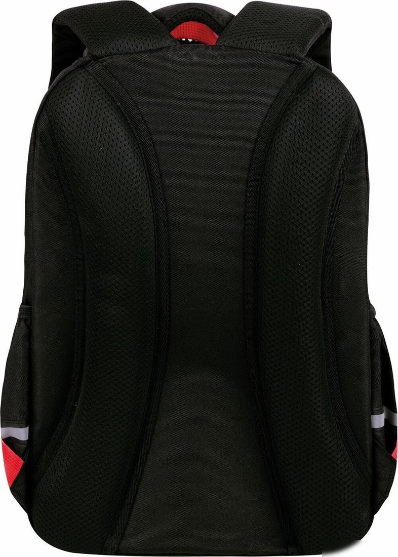 Школьный рюкзак BRAUBERG Motion. Calm Capy 272032