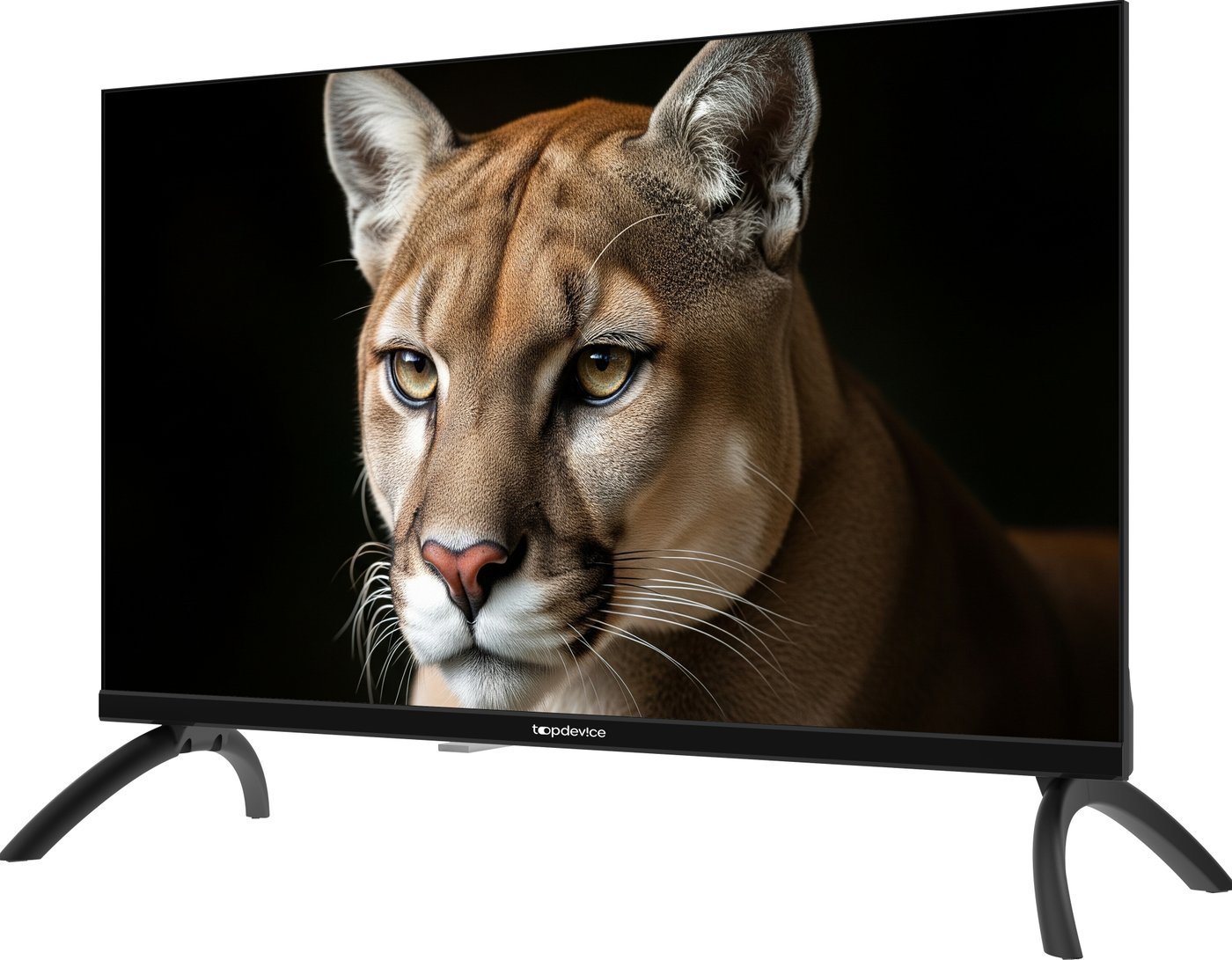 Телевизор Topdevice 24" TDWC24BH1000I