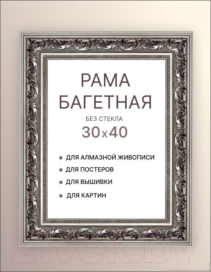 Фоторамка Декарт 30x40 8Л2297 (серебристый)