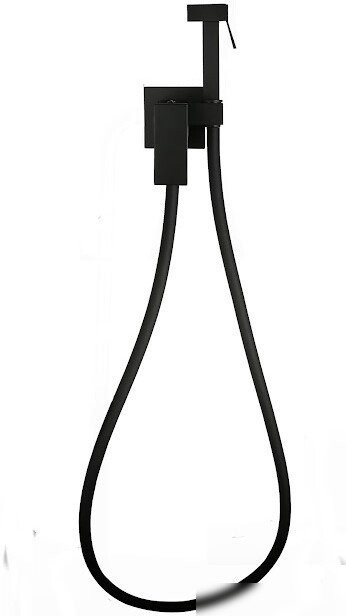 Гигиенический душ Roxen Caspia 50096000-B