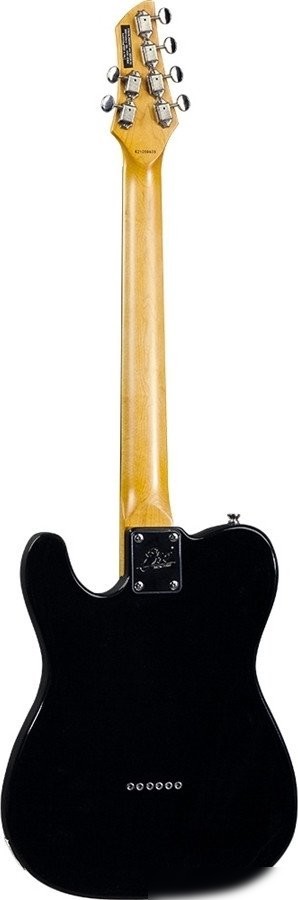 Электрогитара EKO Tero V-NOS Black
