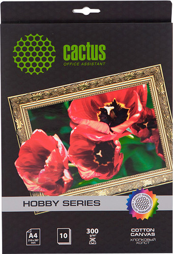 Холст CACTUS Хлопковый холст A4 300 г/кв.м. 10 листов (CS-СA426010)