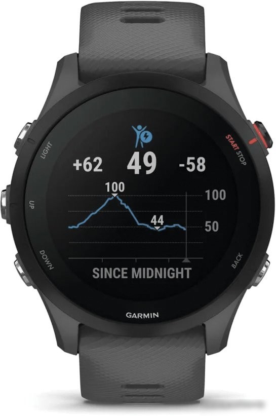 Умные часы Garmin Forerunner 255 (сланцево-серый/черный)