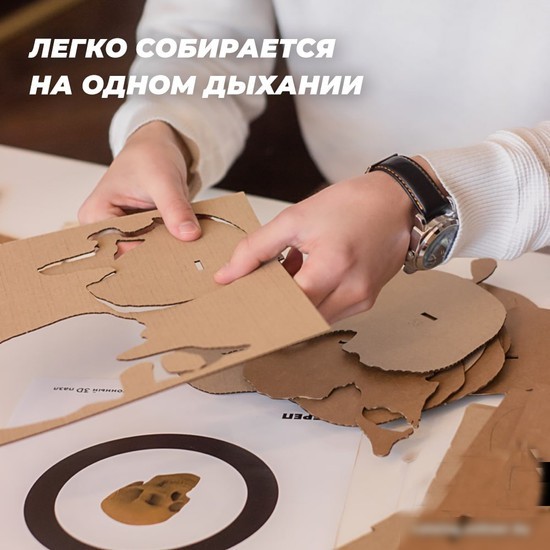 Конструктор QBRIX Череп