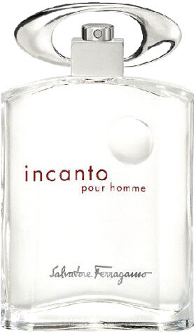 Туалетная вода Salvatore Ferragamo Incanto Pour Homme EdT (100 мл)