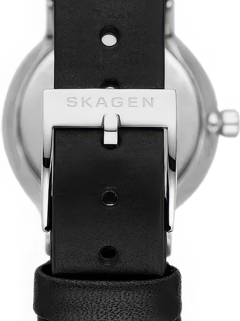 Наручные часы Skagen SKW3119