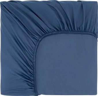 Постельное белье Sofi De MarkO Трисс 90x200x20 Пр-Тр-90х200сн (синий)