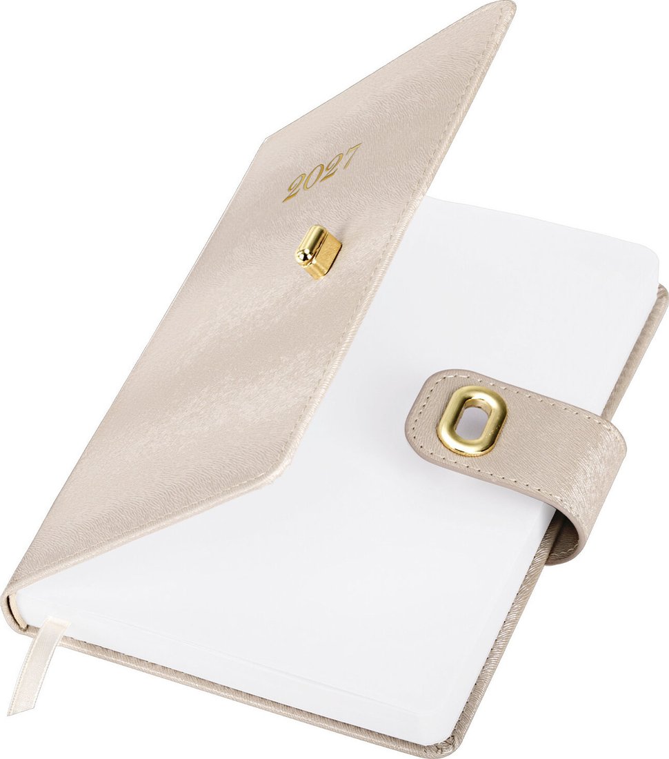 Ежедневник BRAUBERG Elegant 2027 118012 (бежевый)