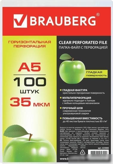 Набор файлов BRAUBERG 223085 (100 шт)
