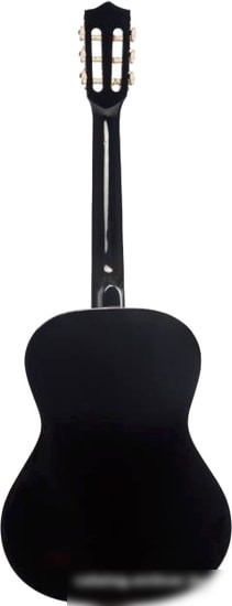 Акустическая гитара Terris TC-3801A BK