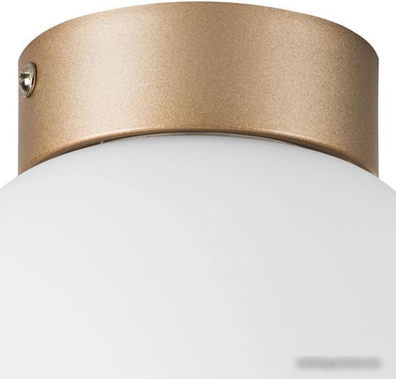 Припотолочная люстра Lightstar Globo 812013