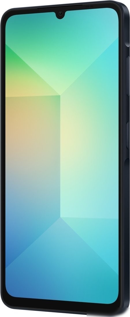 Телефон Samsung Galaxy A06 SM-A065F 4GB/128GB (черный)