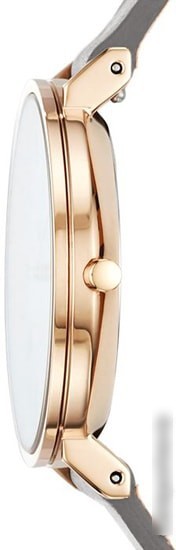 Наручные часы Skagen SKW2674