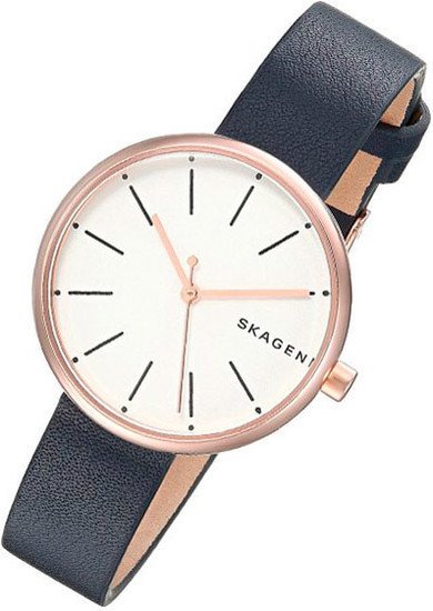 Наручные часы Skagen SKW2592